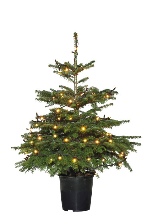 PRO lyskæde 100 LED varm hvid 9,9 meter